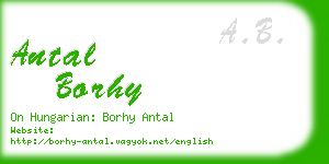 antal borhy business card